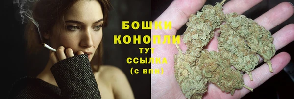 ГАЛЛЮЦИНОГЕННЫЕ ГРИБЫ Лабытнанги