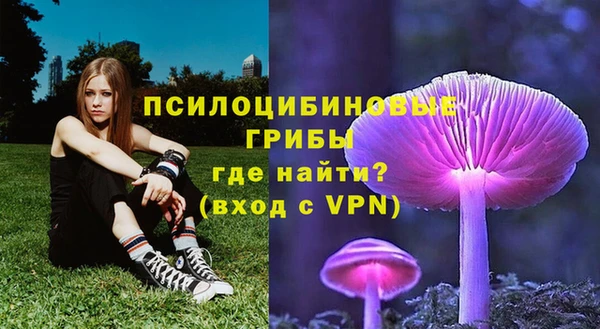 индика Лиски